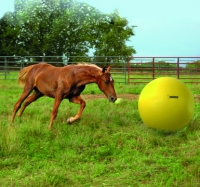 Power Play Ball (grote speelbal voor paarden)