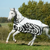Bucas Buzz-Off Rain Zebra & Neck (hals afneembaar)