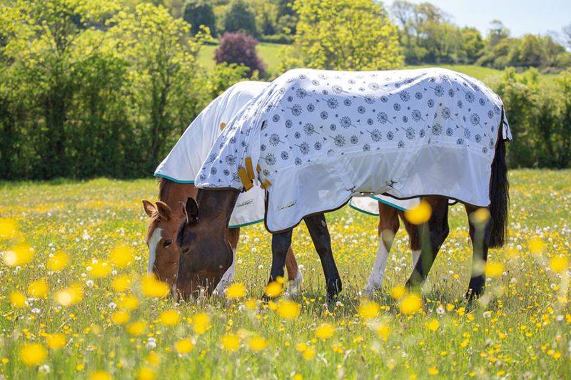 Shires Tempest fly combo dandelion