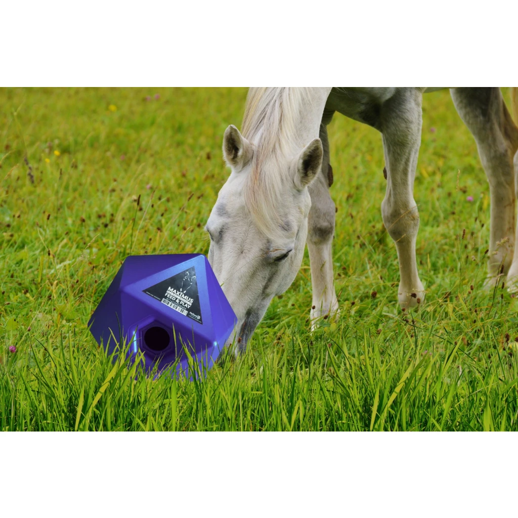 Voerbal Maximus Feed & Play