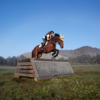 WEATHERBEETA PRIME JUMP SHAPED SADDLE PAD full