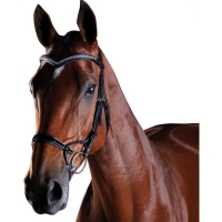 COLLEGIATE COMFITEC PATENT BRIDLE WeatherBeeta