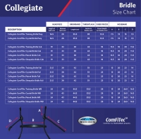 COLLEGIATE COMFITEC PATENT BRIDLE WeatherBeeta