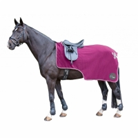 Uitrijdeken fleece