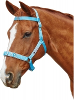 KINCADE BRIGHTS NYLON PADDED LUNGE CAVESSON