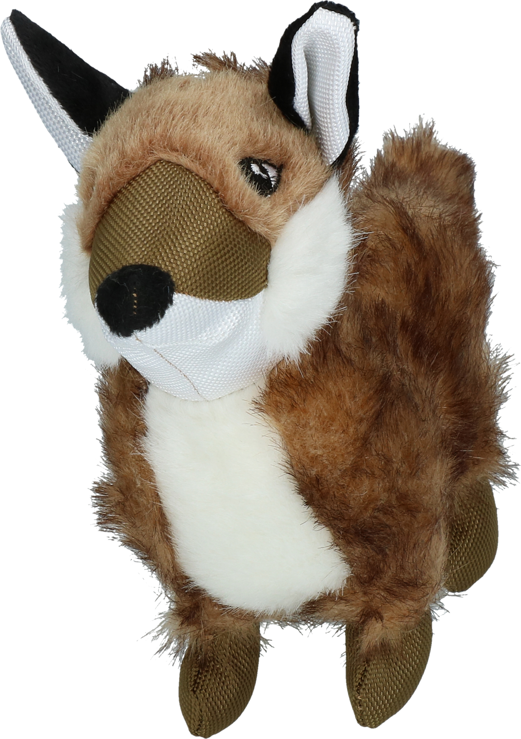 Wild Life Dog Fox