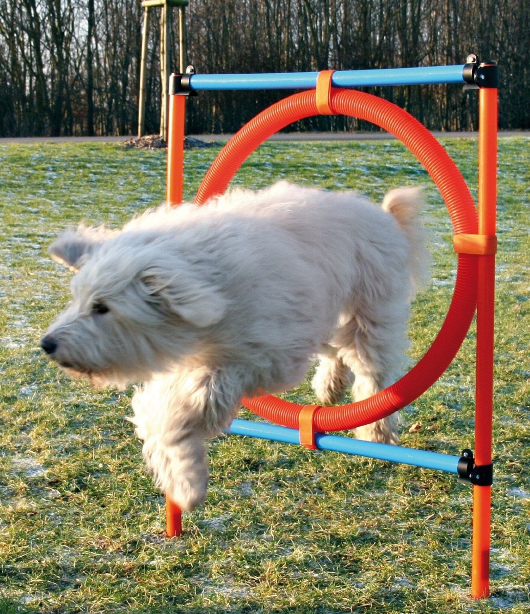 Agility Ring