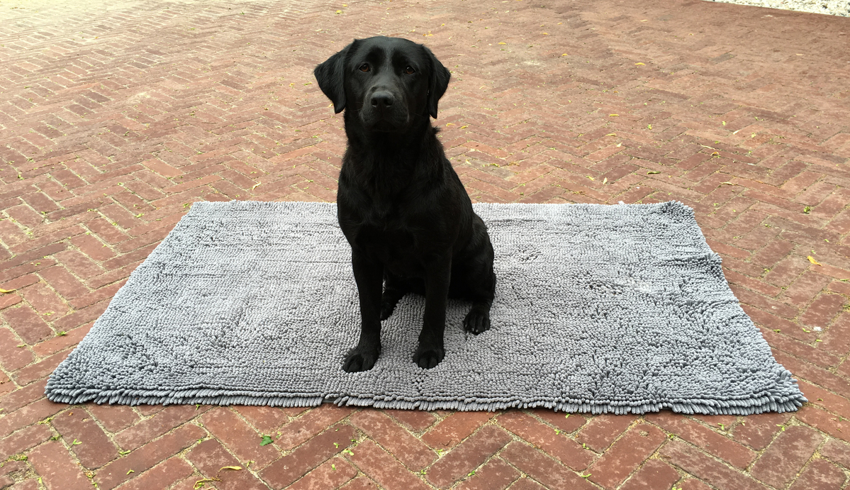 Doggy Dry Doormat L