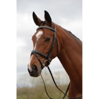 KINCADE PADDED CRYSTAL CRANK FLASH BRIDLE