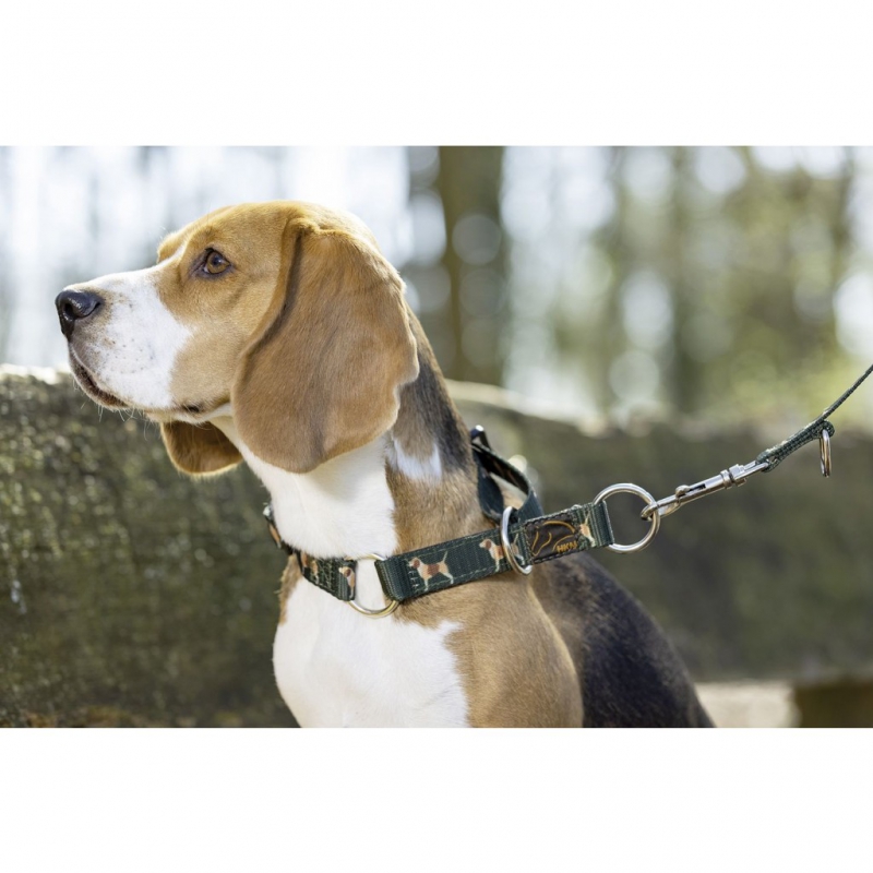 Halsband Beagle