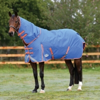 WEATHERBEETA COMFITEC PLUS DYNAMIC II DETACH-A-NECK 220g