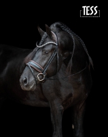 TESS Trens WIDE  Bridle