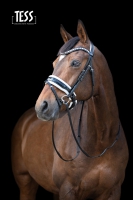 TESS Trens WIDE  Bridle