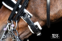 TESS Double Bridle WIDE