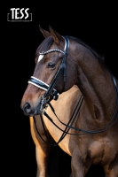 TESS Double Bridle WIDE