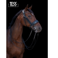 TESS Double Bridle WIDE