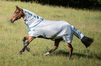AmEco Bug Rug