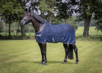 LeMieux Arika Air-Tek Rug navy