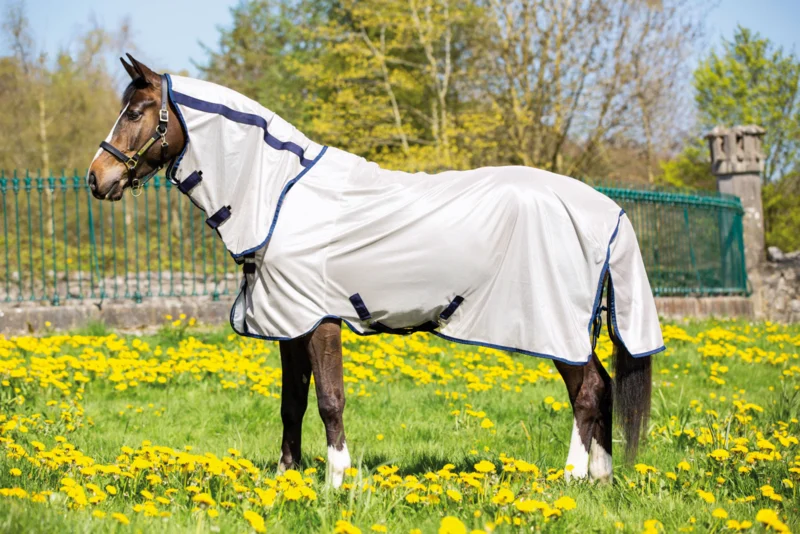 Horsware  Amigo Mio Fly Rug