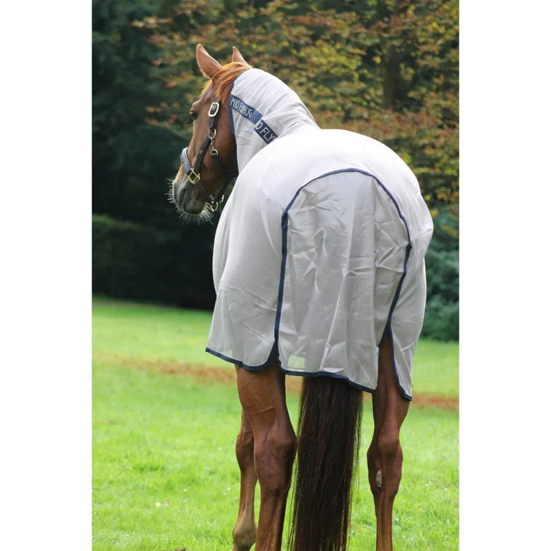 Horsware  Amigo Mio Fly Rug