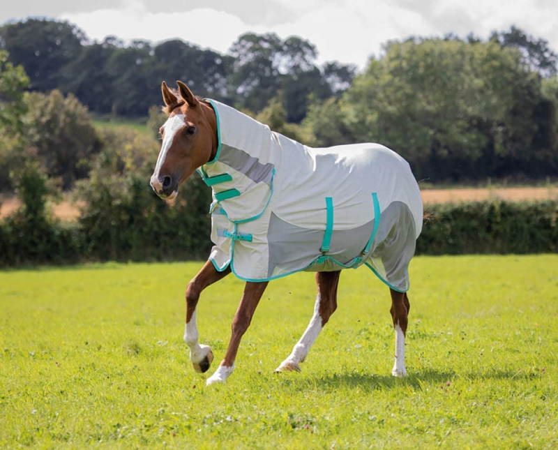 SHIRES TEMPEST ORIGINAL SUMMER SHIELD WITH MESH