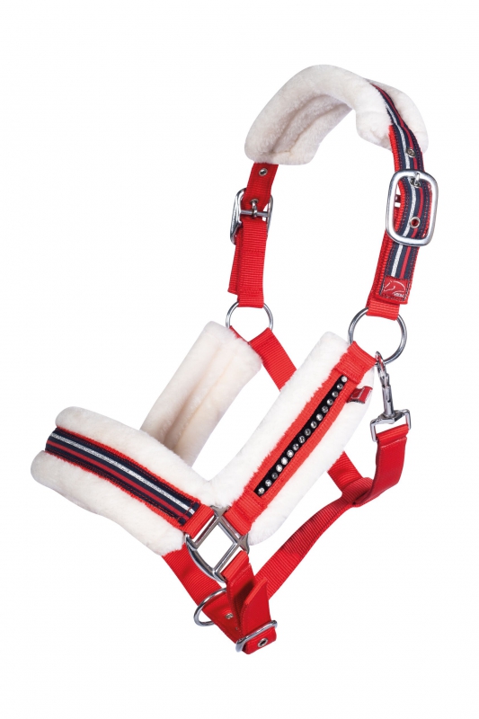 Halster -Equine Sports- Style