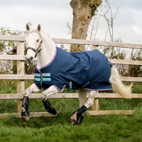 AMIGO HERO 900 PONY LITE 0G
