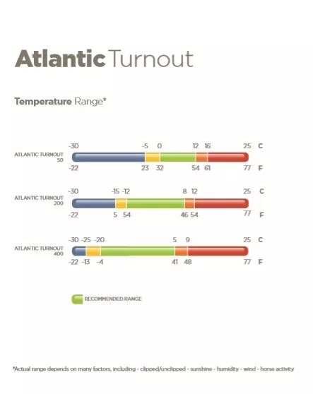 Atlantic Turnout 200g + Neck set