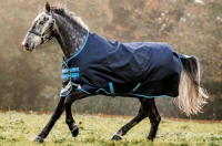 Amigo Bravo 12 50g Turnout