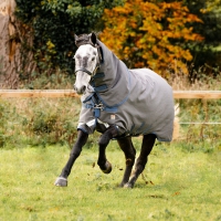 Horseware Rhino Plus HexStop Turnout 250g - Grey/Indigo