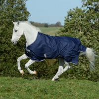 Bucas Freedom Turnout 300 Navy/Silver