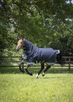 LeMieux Arika Storm-Tek Turnout Rug 100g
