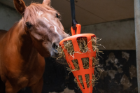 Hay Slowfeeder Fun and Flex 22 cm Wortel