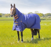 Shires HIGHLANDER ORIGINAL 100 T/O RUG & NECK