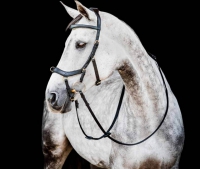 Horseware Micklem 2 Multi Bridle