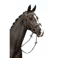 hoofdfstel Sofia