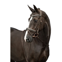 hoofdfstel Sofia
