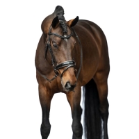 hoofdfstel Sofia
