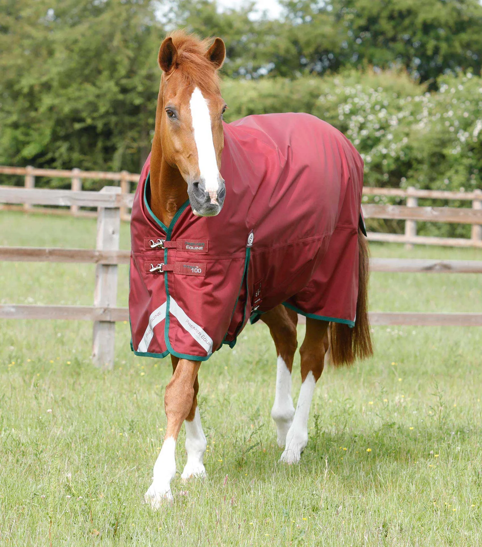 Premier equine Titan 100g Original Turnout Rug burgundy