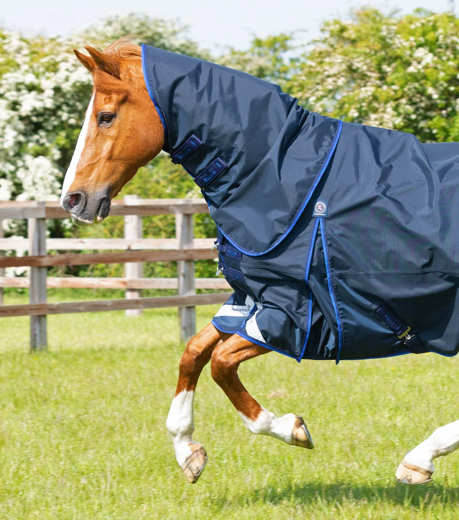 Premier equine Buster 40g Turnout Rug with Classic Neck Cover-navy-hals afneembaar