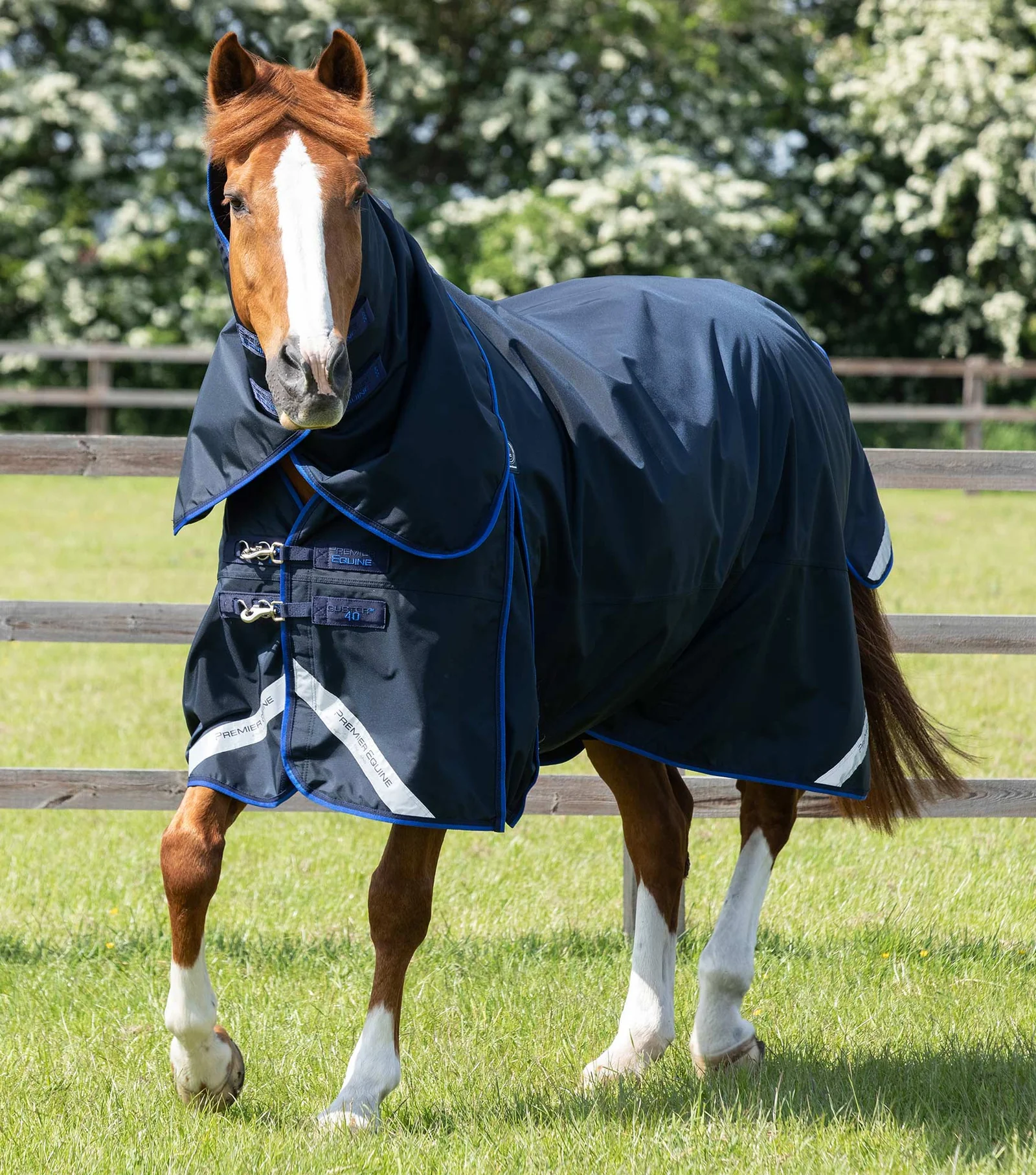 Premier equine Buster 40g Turnout Rug with Classic Neck Cover-navy-hals afneembaar