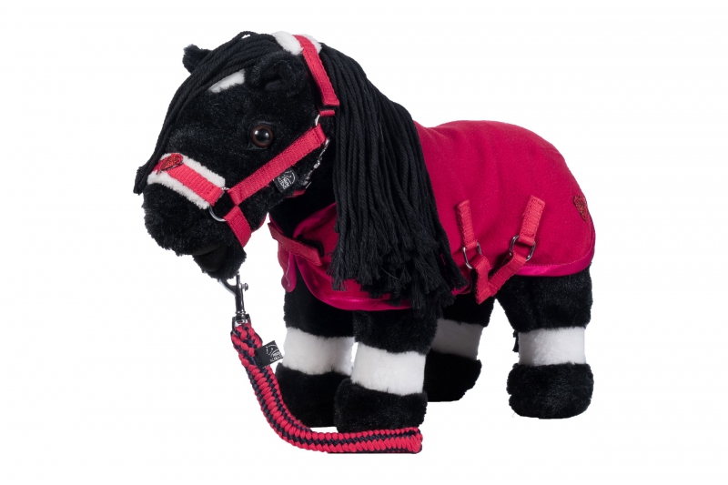 Starterset -Cuddle Pony-