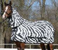 Bucas Sweet-itch Zebra Pony