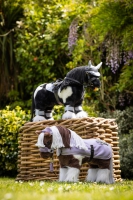 LEMIEUX MINI PONY TINKER