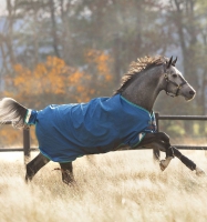 Rhino® Original Turnout (0g Light)
