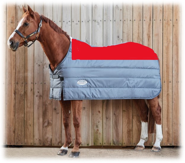 WeatherBeeta ComFiTec Plus Dynamic II 100g Turnout Rug - Maroon