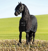 Rambo  Stable Rug (100g Light)