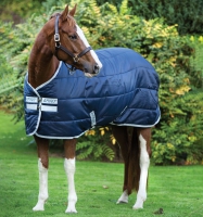 Amigo® Insulator (200g Medium)
