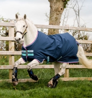 Amigo® Hero 900 Pony Turnout (200g Medium)