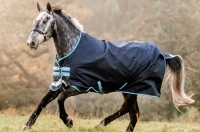 AMIGO BRAVO 12 100 GR